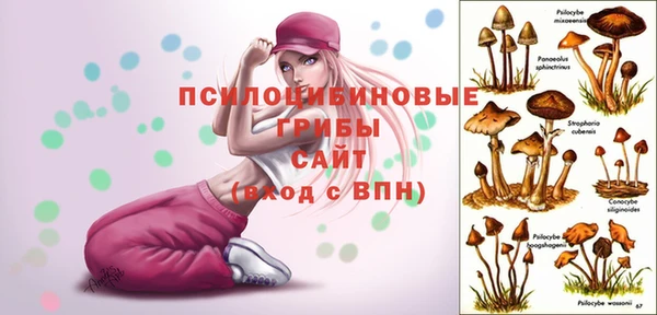 первитин Верея